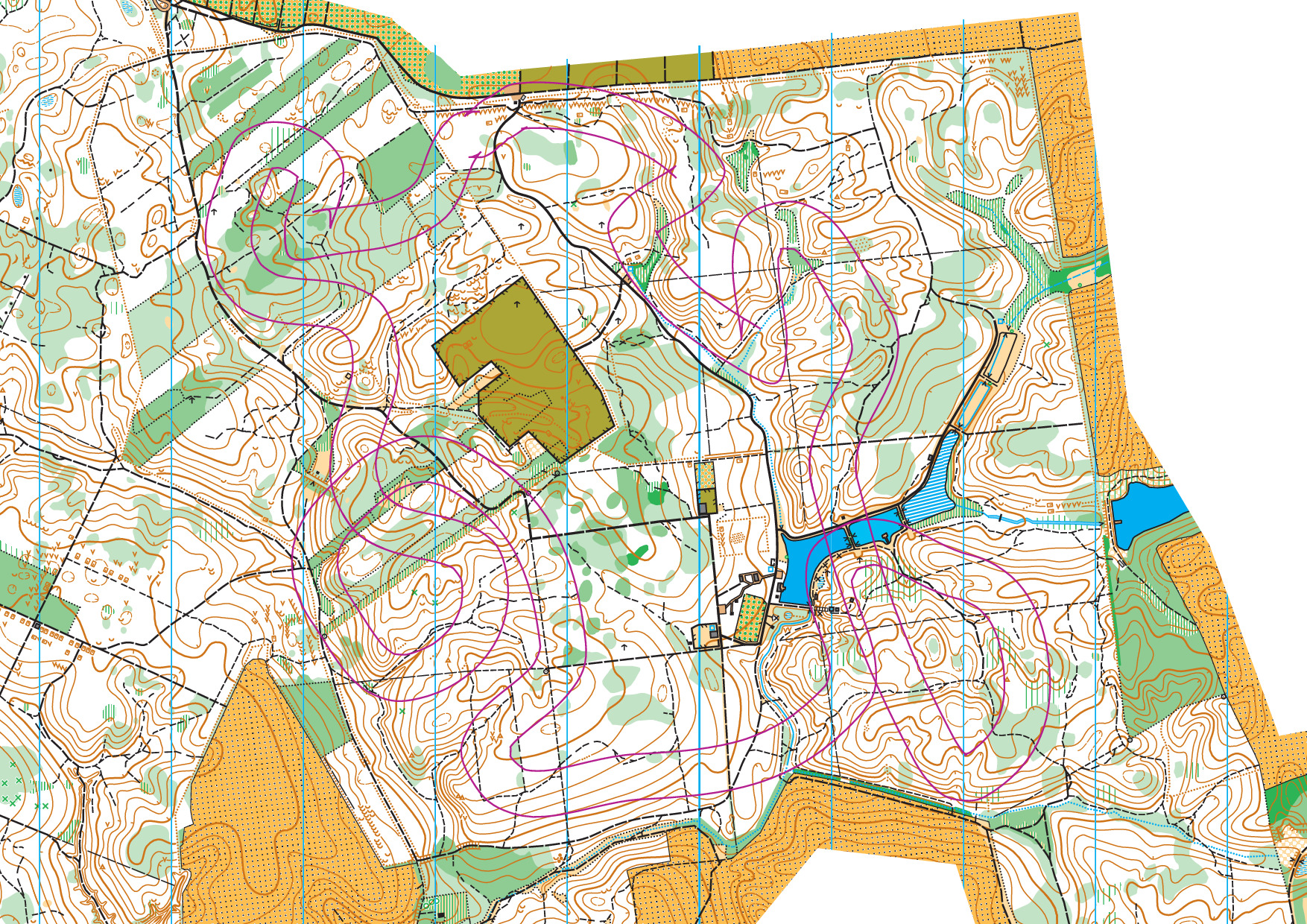 Тренування Воротнів